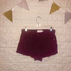 Kendall and Kylie shorts